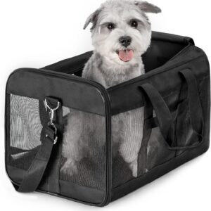 HITSLAM Pet Carrier Dog Carrier Soft Sided Pet Travel Carrier for Cats, Small dogs, Kittens or Puppies, Collapsible, Durable, Travel Friendly Black (L)