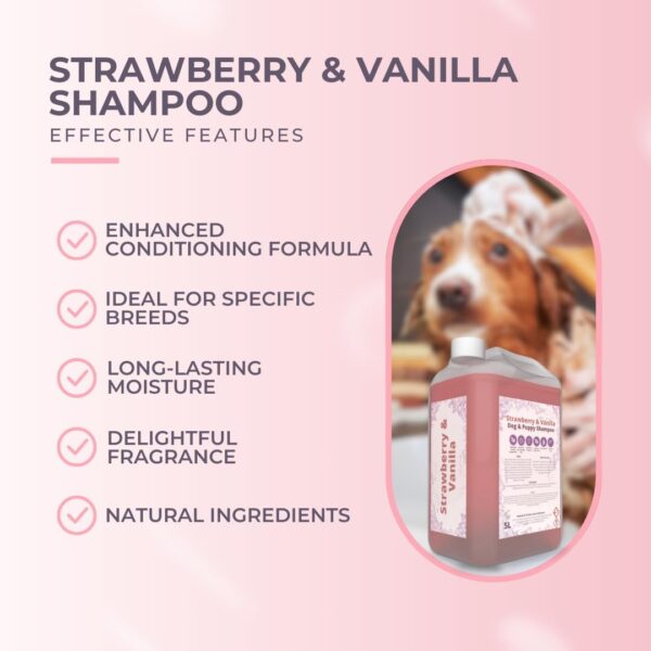 Peanut & Pickle | Strawberry & Vanilla - Dog Puppy Shampoo - Enhanced Conditioning with Neem Leaf & Fennel Seeds, Ideal for Cockapoos & Cavapoos (5L)