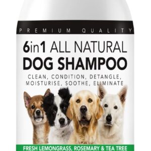 The Healthy Dog Co - 6-in-1 All-Natural Dog Shampoo and Conditioner - Dog Shampoo - Dog Shampoo for Smelly Dogs - Deshedding Shampoo for Dogs - Gentle Oatmeal Dog Shampoo and Puppy Shampoo - 500ml