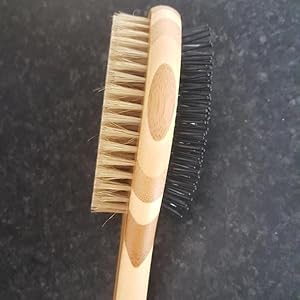 Cat-Brushes-For-Grooming