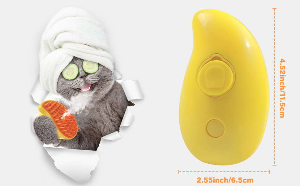 steam brush for cats