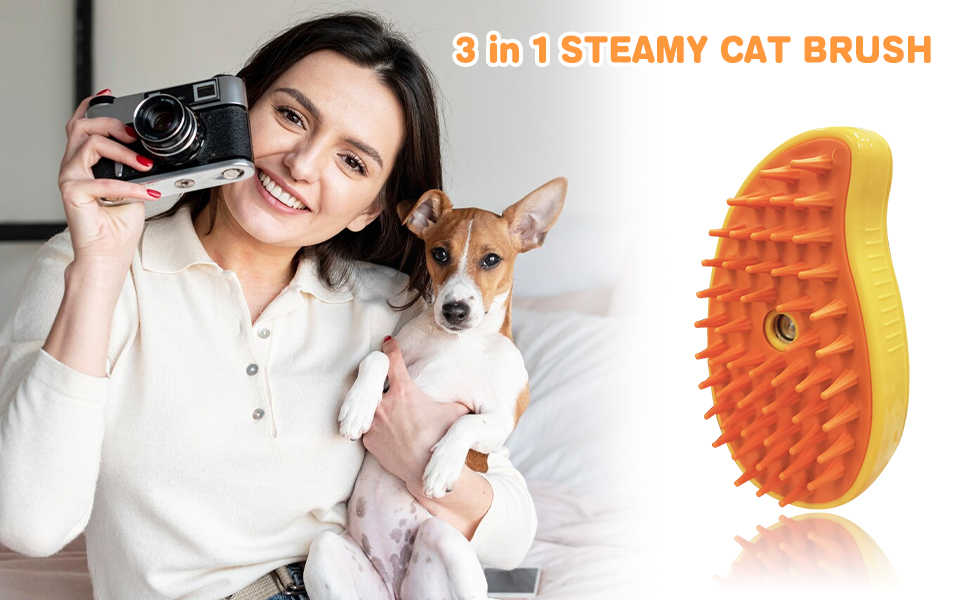 cat brush steam