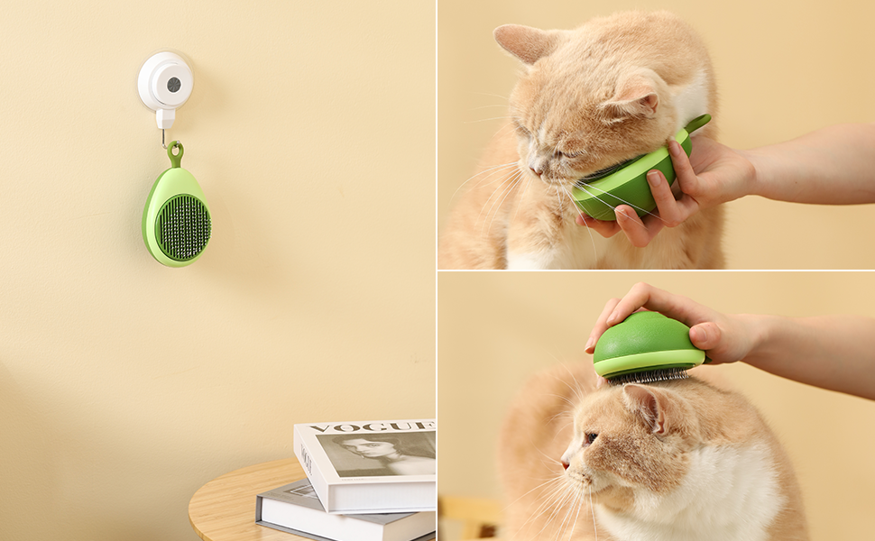 pet brush