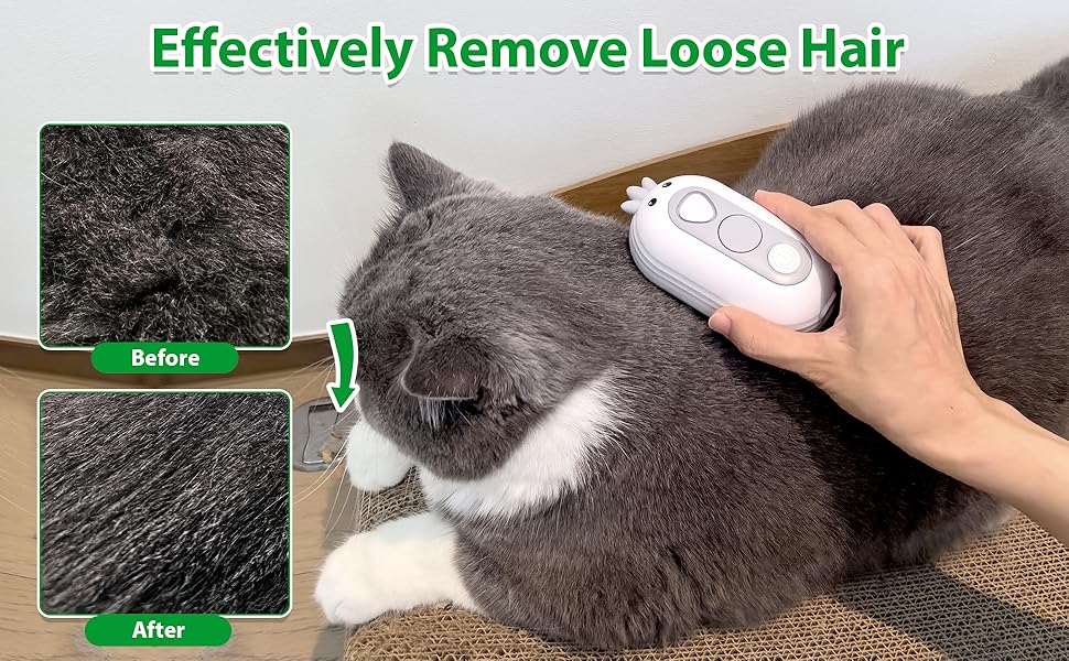 Cat Steam Brush