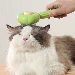 cat automatic brush