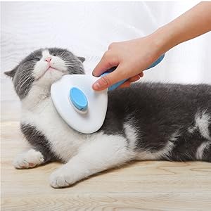 cat brush