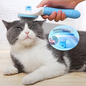 cat brush