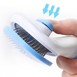 pet brush