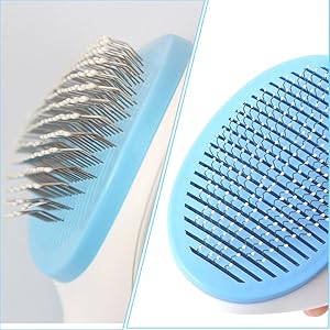 Dog Brush