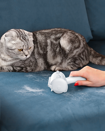 Pet Hair Remover