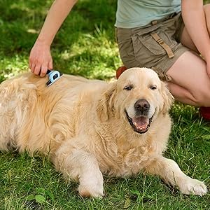 Deshedding tools for pets