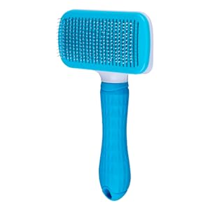 pet brush