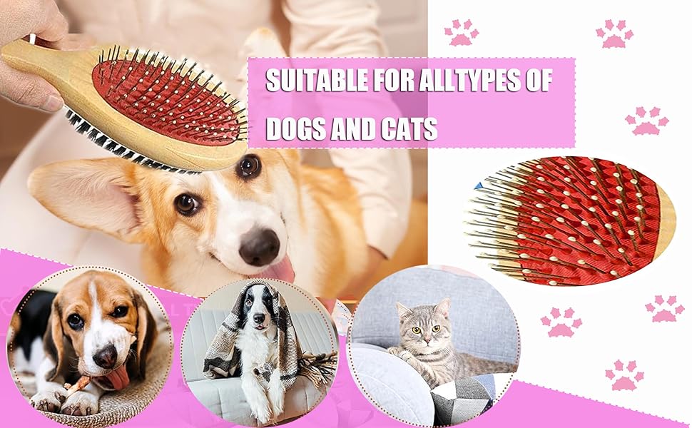 Multifunctional Wooden Dog Brush