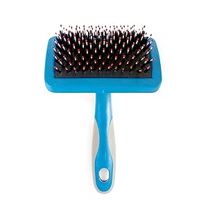 dog brush with blue plastic handle and soft rounded pins