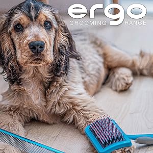 A spaniel posing next to an Ancol dog comb and brush 