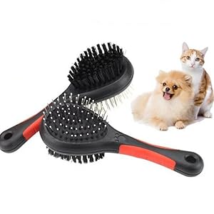 dog brush