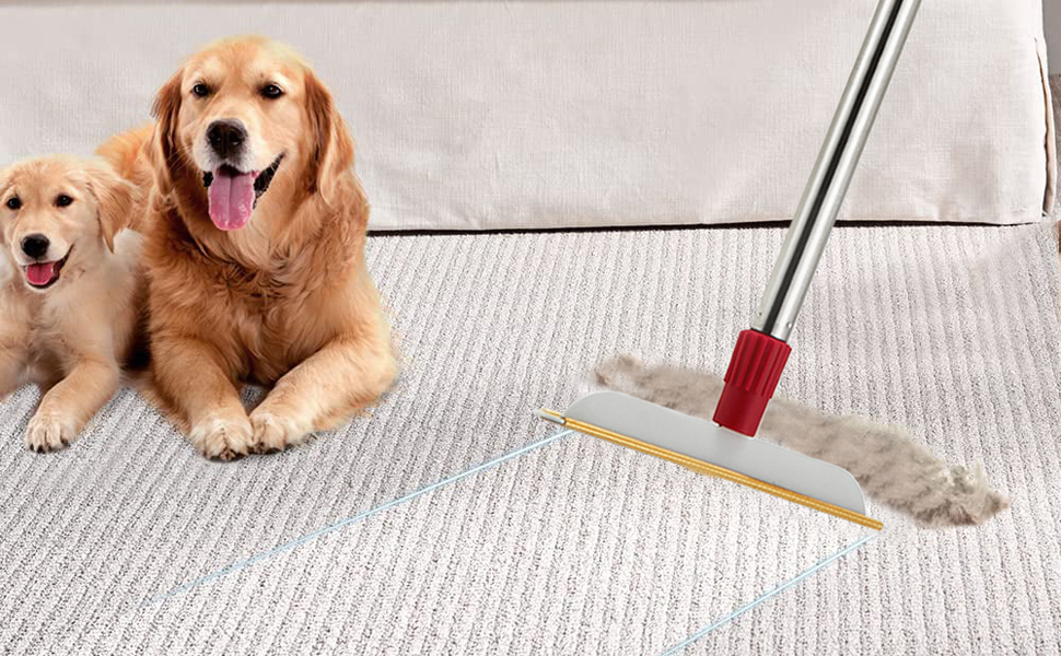 carpet rake 