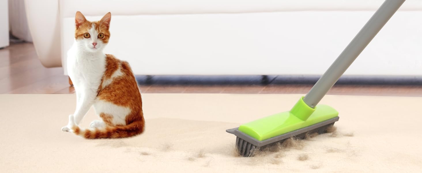 Pet hair broom