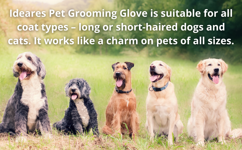 pet glove; pet grooming glove ; brush for pets; brush for cat; for cat hair