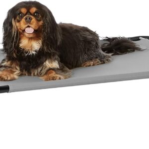 Amazon Basics - Cooling Breathable Raised Elevated Dog Pet Bed, S, Grey, 90 x 55 x 19 cm (L x W x H)