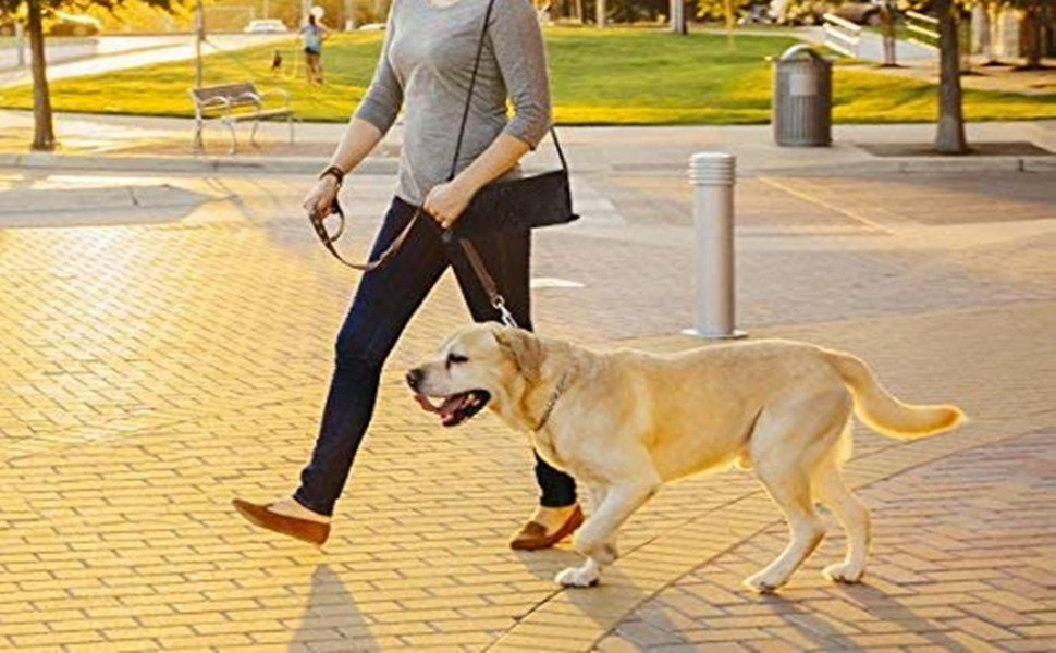 Foldable Waterproof Pet Blanket