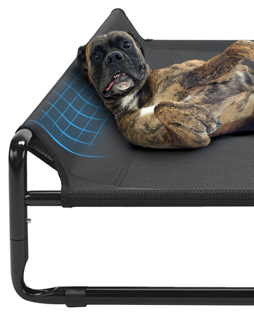 raised dog bed