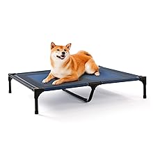 Elevated Dog Bed