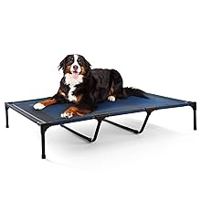 Elevated Dog Bed