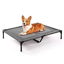 Elevated Dog Bed