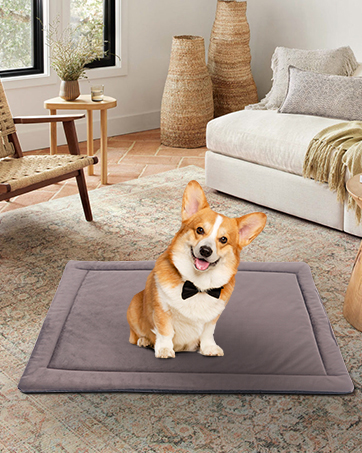 dog pad