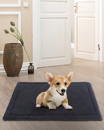 dog mat