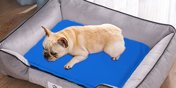 Dog Cooling Mats Large Cool Pad Bed Pet Gel Self Cooling Cold Cooler Mattress