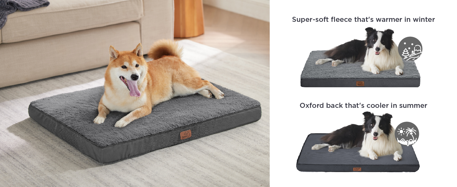 dog bed small