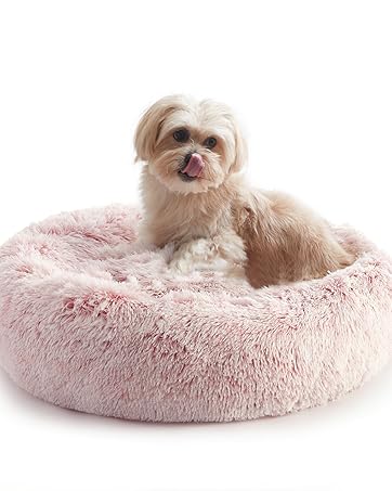 dog bed medium