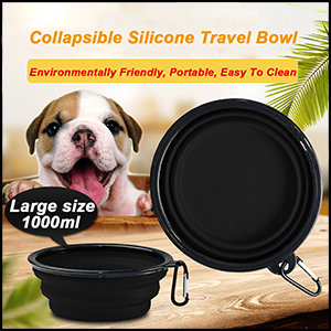 Large Size Collapsible Dog Bowl