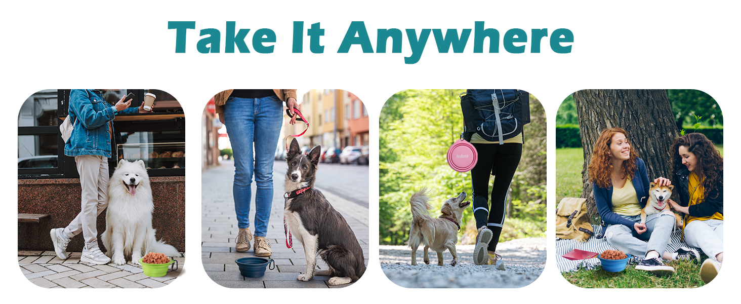 portable water bowl for dog 