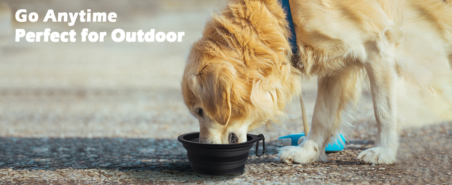 dog bowl portable