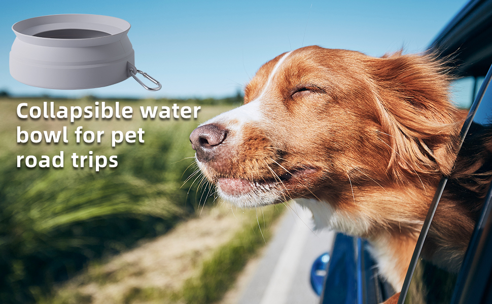 Collapsible water bowl for dog