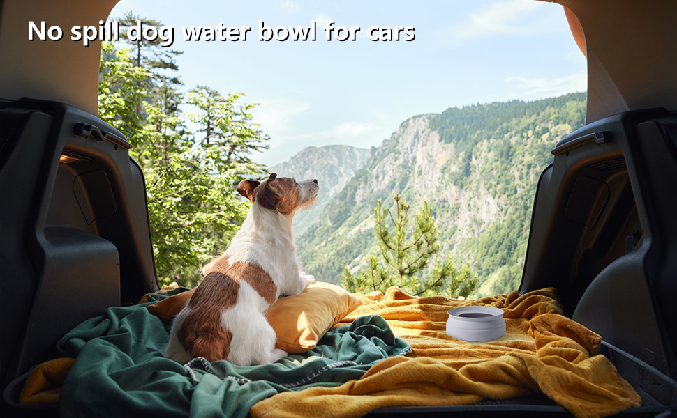 Dog Water Bowls for Cars