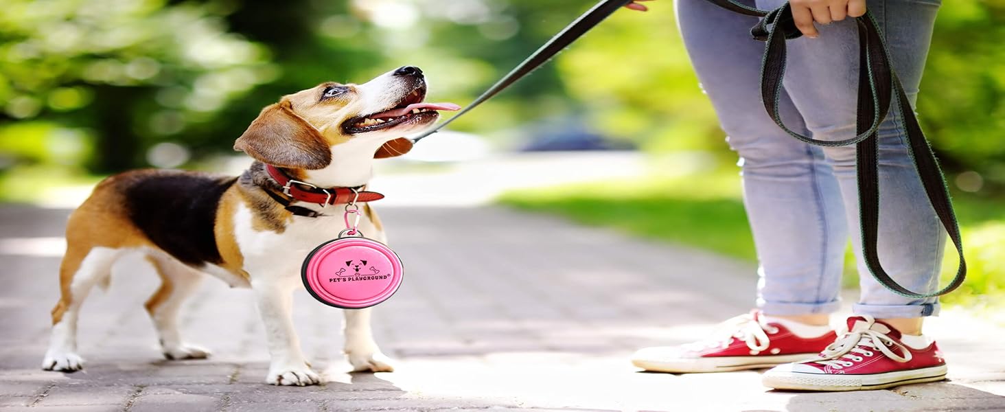 pet travel bowl outdoors