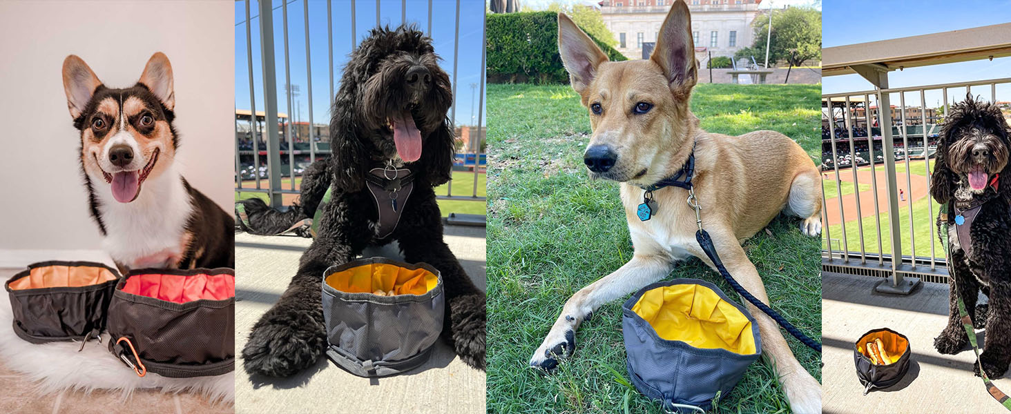 dog travel bowl