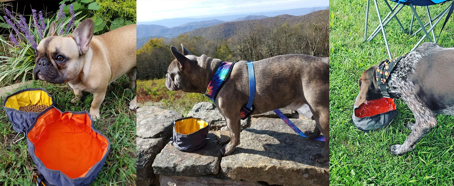 dog travel bowl