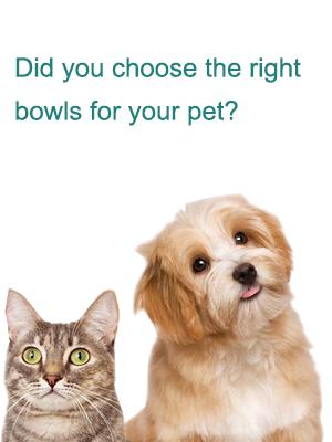 Did you choose the right bowls for your pet?