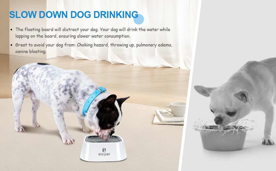 slow down dog drinking