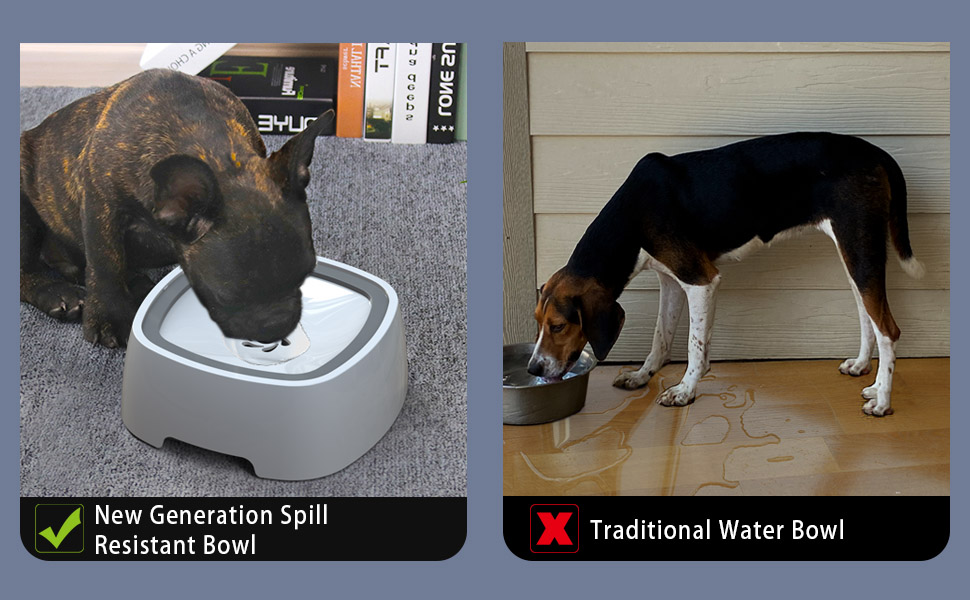 Dog Water Bowl