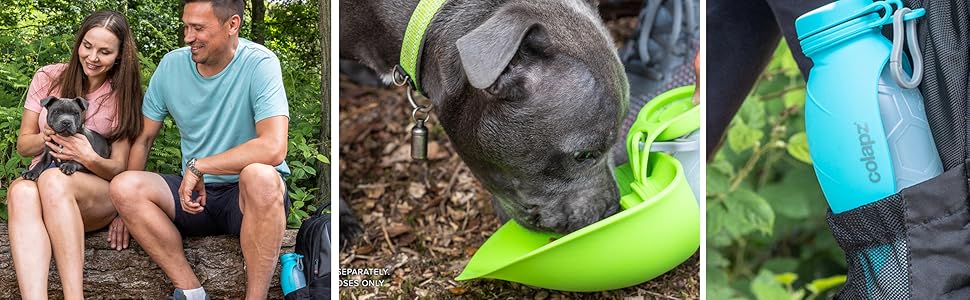 Dog Bottle