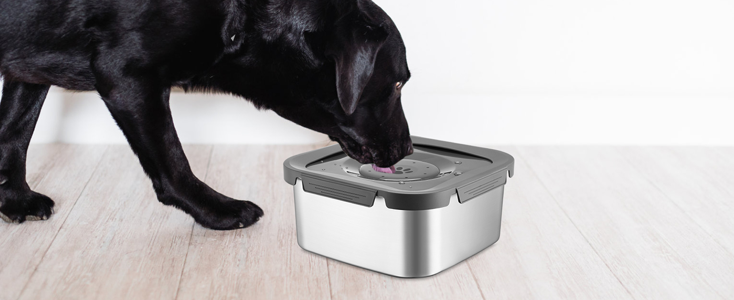 No Spill Dog Water Bowl