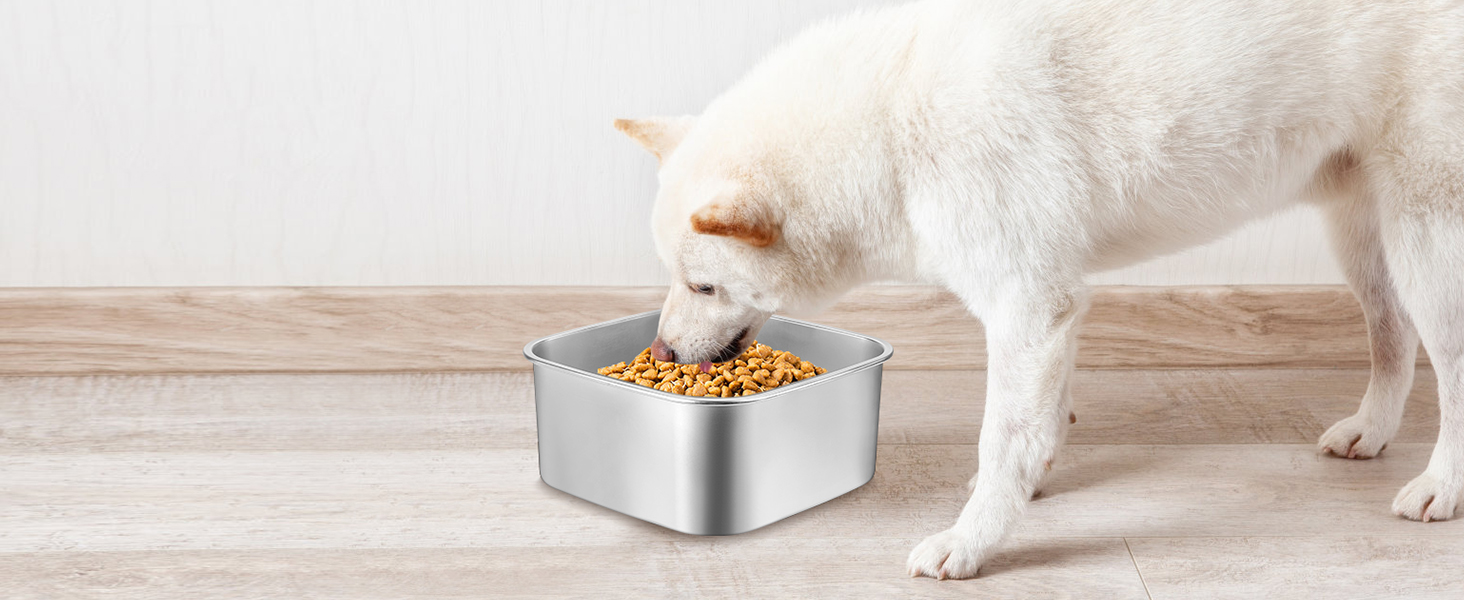 No Spill Dog Water Bowl