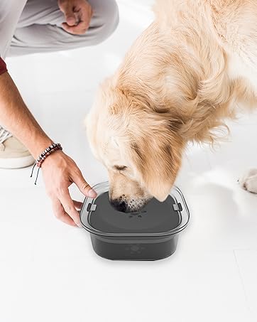 dog water bowl