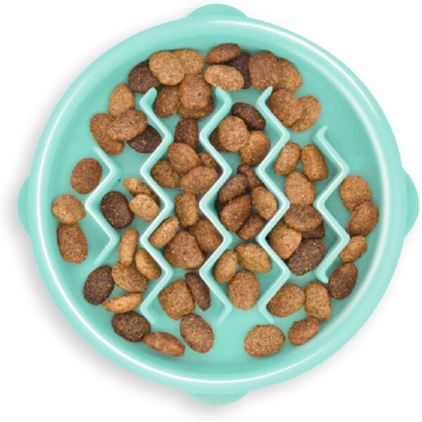 Outward Hound Fun Feeder Slo Bowl - Slow Feeder Dog Bowl - No Bloat - No Choke - Small - Mini - Mint